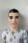 Mattel - Barbie - Fashionistas #016 Ken - Cactus Cooler - Slim - кукла